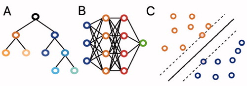 Figure 1. (A) Decision trees are hierarchical structures in which each node performs a test on the input value with the subsequent branches representing the outcomes. Their graphical representation as seen here makes them easy to understand and interpret. However, they are prone to overfitting. (B) Neural networks are based on interconnected nodes. The input features are represented by the first (blue) layer. The designated outcome is represented by the final (green) layer. The middle, hidden layers (blue and orange) base their output on the input they get from prior layers. Neural networks have been around for a long time and offer good discriminative abilities, but interpretation of the relationships between the different layers remains difficult. (C) Support vector machines (SVMs) perform classification by determining the optimal separating hyperplane between datapoints, which maximizes the distance between the 2 closest points of either group. They can be used for both linear and nonlinear relationships. While they remain effective in data with a great number of features, they do not work well in larger datasets.