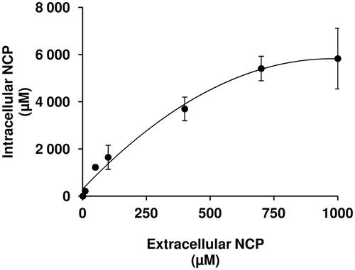 Figure 4. Concentration dependence of [3H]9-norbornyl-6-chloropurine ([3H]NCP) uptake. CCRF-CEM cells were incubated at different concentrations of [3H]NCP (0.2 µCi/ml) for 2 min.