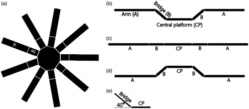 Figure 1. (a) Illustration of the nine arms 3D maze; (b) Raised arm configuration used in the present experiment; (c) Standard arm configuration; (d) Lowered arm configuration; (e) Angle of inclination of the bridge. B = bridge; A = arm; CP = central platform. See pictures of the maze in Ennaceur et al. (Citation2008b).