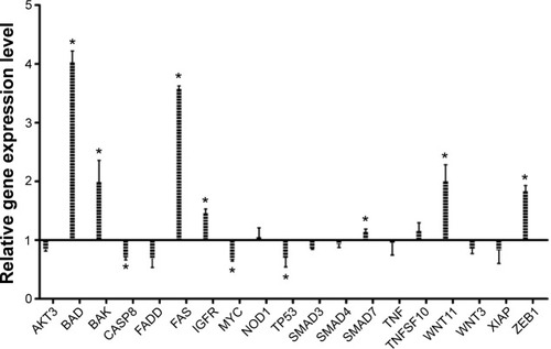 Figure 4 Relative gene expression level showing the effect of treatment with a single dose of EGCG (20 μM), at 24 hours posttreatment.