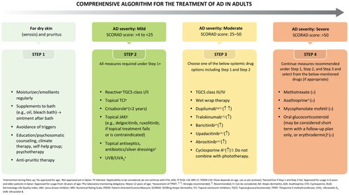 Figure 2. Comprehensive algorithm for the treatment of AD in adults.