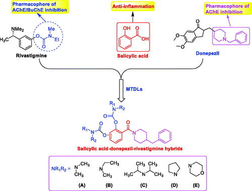 Figure 1. Design of salicylic acid–donepezil–rivastigmine hybrids.