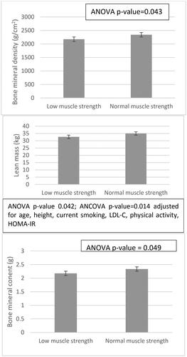 Figure 2. Bone and body composition parameters according to muscle strength are presented as univariate analysis of variance (ANOVA) or co-variance (ANCOVA, adjusting for age, height, current smoking, physical activity, LDL-C, vitamin D, and insulin resistance). Low muscle strength is defined as a HGS < 16 kg. Error bars represent standard deviation. ANOVA: analysis of variance; ANCOVA: analysis of co-variance; HOMA-IR: homeostasis model assessment of insulin resistance; LDL-C: low-density lipoprotein cholesterol; HGS: handgrip strength. Statistical significance was set at the level of p value < .05.