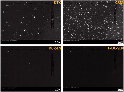 Figure 7. Polarized light microscopy image shows absence of birefringence in SLN dispersion.