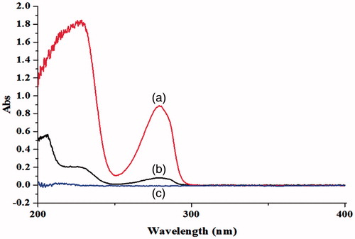 Figure 2. The ultraviolet absorption spectrum of CAP in aqueous solution before and after the adding of HP-β-CD: (a) CAP-HP-β-CD; (b) CAP; (c) HP-β-CD.
