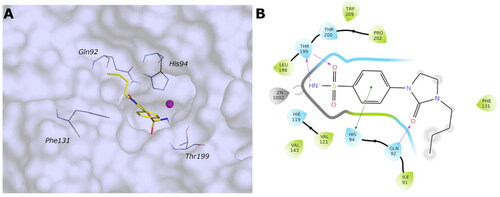 Figure 7. (A) Predicted 3D binding mode and (B) corresponding ligand interaction diagram of the most selective ligand 9c (yellow) in the hCA II (light cyan). The compounds are represented as a stick and the protein surface is visualised.