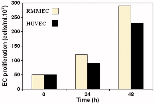Figure 2. Proliferation kinetics of RMMECs compared with HUVECs. The ECs were synchronized, seeded and allowed to attach overnight in 25 cm2 flasks. Data shown are the mean of ECs number and standard deviations were approximately within 5% of the experimental values of three independent experiments. Further details are given in experimental procedures.