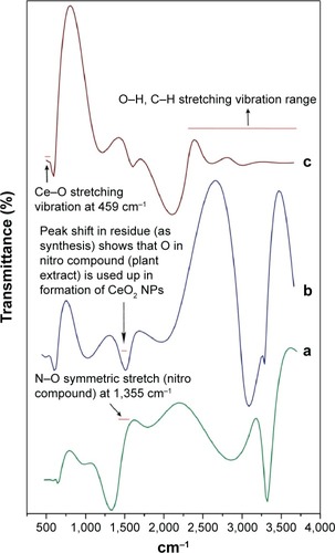 Figure 7 FTIR spectra of biosynthesized CeO2 NPs from Olea europaea leaf extract.Notes: (a) Plant extract; (b) residue (as synthesized); (c) CeO2 NPs.Abbreviations: FTIR, Fourier transform infrared; NPs, nanoparticles.