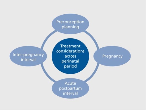 Figure 1. Conceptual model of treatment considerations across the perinatal period.