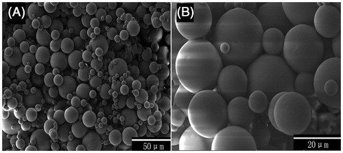 Figure 1. Scanning electron microscope micrographs of HNV-loaded PLGA microspheres.