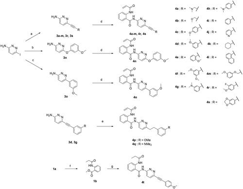 Scheme 2. Reagents and conditions: (a) arylacetylene, (Ph3P)2PdCl2, CuI, dry 1,4-dioxane, rt, overnight, 44–95%; (b) 3-methoxyphenol, picolinic acid, K3PO4, CuI, DMSO, 100 °C, overnight, 52%; (c) 3-methoxyphenylboronic acid, Pd(PPh3)4, K2CO3, THF, water, 130 °C, 1 h, microwave irradiation, 68%; (d) 1a, Al(CH3)3 2 M in toluene, dry toluene, 110 °C, 3 h, 11–31%. (e) i) Pd/C, H2, CH3OH, rt, 3 h; ii) 1a, Al(CH3)3 2M in toluene, dry toluene, 110 °C, 3 h, 5–8%. (f) Pd/C, H2, CH3OH, rt, 3 h, 97%; (g) 3c, Al(CH3)3 2M in toluene, dry toluene, 110 °C, 3 h, 23%.