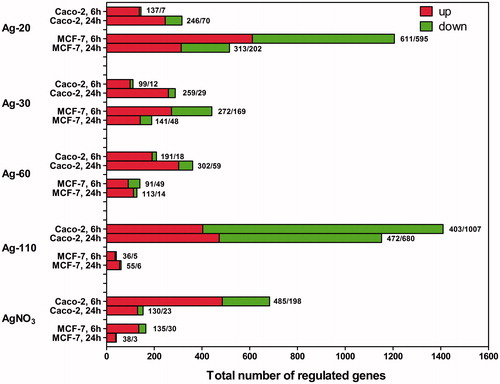 Figure 4. DEGs in Caco-2 and MCF-7 cells after exposure to AgNPs or AgNO3 compared with the control at t = 6 and t = 24 h (n = 3). Genes with a minimal 1.5FC, a p value ≤ 0.05, and an FDR ≤ 0.25 were selected.