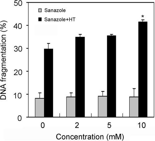 Figure 2. The effect of sanazole, HT and the combination of sanazole and HT on DNA fragmentation in U937 cells. The cells were treated first with 10 mM sanazole for 40 min, exposed to HT at 44°C for 20 min and the cells were further treated with the drug at 37°C for 6 h. DNA fragmentation assay was carried out. The results are presented as the means ± SD (n = 3). *p < 0.05.
