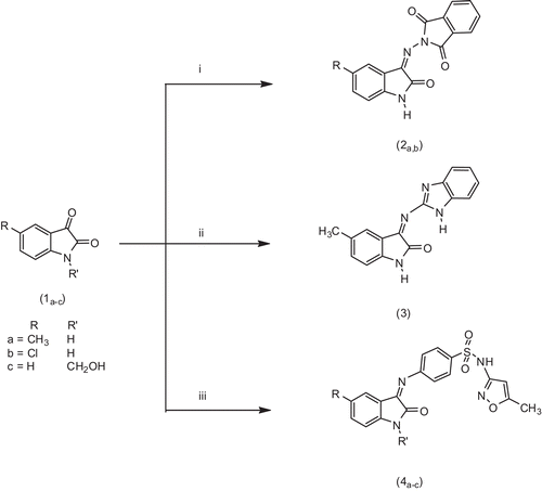 Scheme 1.  Synthesis of the target compounds 2a,b, 3 and 4a–c. (i) N-Aminophthalimide, (ii) 1H-benzoimidazol-2-amine and (iii) 4-amino-N-(5-methylisoxazol-3-yl) benzenesulphonamide.