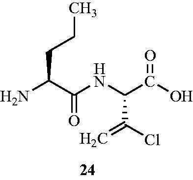 Figure 16. Structure of l-norvalyl-l-chlorovinylglycine 24 as an Alr inhibitor.