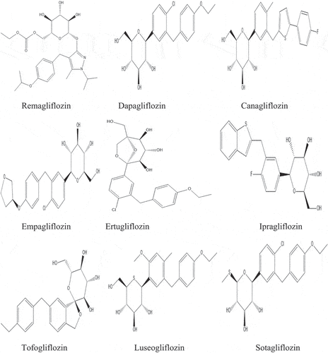 Figure 2. Chemical structures of different phlorizin-derived synthetic SGLT-2 inhibitors as antidiabetic in T2DM.