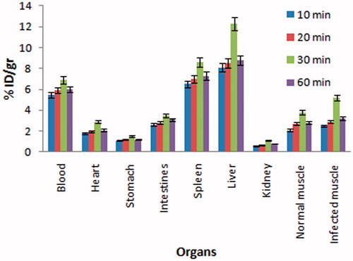 Figure 4. Biodistribution data in vital organs of infected BALB/c mice at time intervals of 10, 20, 30 and 60 min post-injection of gentamicin–GNRs complex.