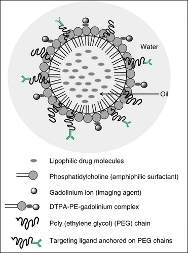 Figure 3. A conceptual model of multifunctional nanoemulsions internal oil droplet arrangement with targeting ability, drug delivery application and imaging modality.