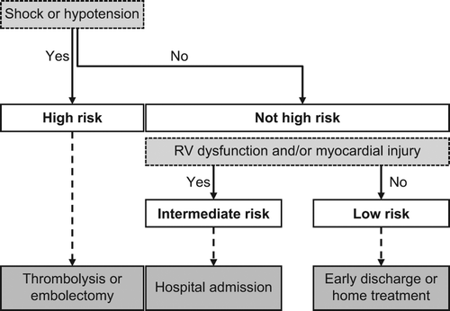 Figure 1. Risk stratification of PE and appropriate management, based on European Society of Cardiology 2008 guidelines (Citation9). RV = right ventricular.