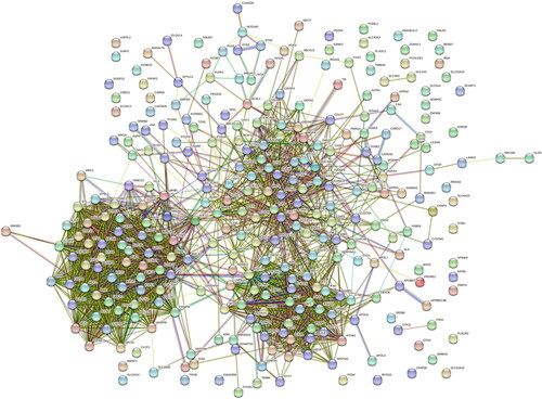 Figure 4. COVID-19 and SLE common DEGs in the protein-protein interaction network.