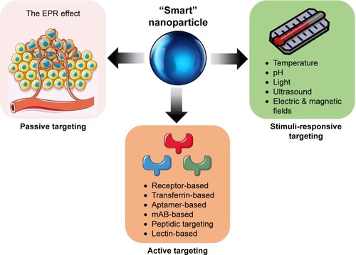 Figure 1 Multifunctional targeting employed by “smart” nanoparticles.Note: Smart nanoparticles employ passive- targeting, active- targeting, and stimuli-responsive targeting methods.Abbreviations: EPR, enhanced permeability and retention; mAb, monoclonal antibody.
