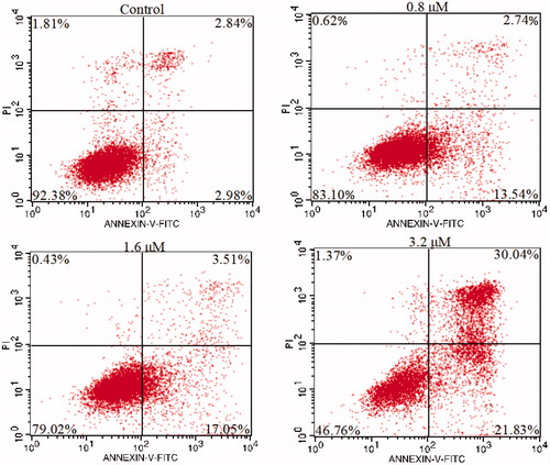Figure 6. K562 cells were treated with 15a, stained with annexin V-FITC/PI and analysed by flow cytometry.