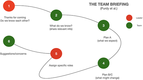 Figure 1 Team briefing structure. Data from Purdy et al.Citation18