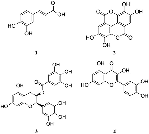 Figure 1. Chemical structures of the studied compounds: caffeic acid (1), ellagic acid (2), epigallocatechin-3-gallate (3) and quercetin (4).
