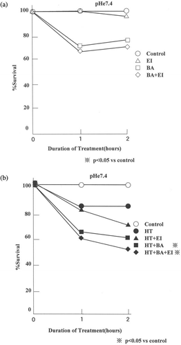 Figure 2. Effect of bafilomycin A1 and/or EIPA on the thermosensitivity of AsPC-1 cells at pHe 7.4. (a) The bafilomycin A1 and/or EIPA effect at 37°C and (b) the drug effect after heating at 44°C. The data shown are mean from 15 measurements. The viability with/without the drugs or the heating in pHe 7.4 medium did not differ significantly from the control (C; control, EI; 10 µM EIPA, BA; 1 µM bafilomycin A1, BA+ EI; 1 µM bafilomycin A1+ 10 µM EIPA).