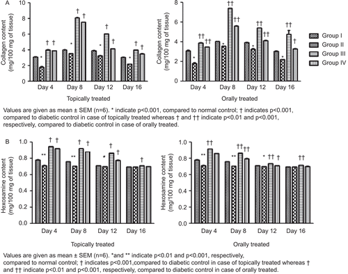 Figure 3.  Effect of topical and oral treatment of hydroalcoholic fraction on collagen (A) and hexosamine (B) content.