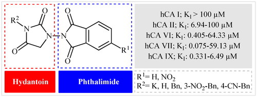 Figure 2. General structure of phthalimide–hydantoin hybrids investigated in the paper.