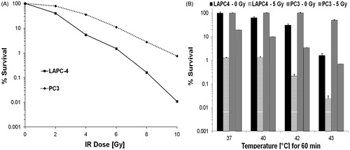 Figure 2. (A) In vitro measure of surviving fraction of PC3 and LAPC-4 cells exposed to ionising radiation determined from clonogenic survival assays relative to untreated controls. Each data point represents an average of triplicate measurements. Error bars (standard error) do not appear on the log scale. (B) Surviving fraction of PC3 and LAPC-4 cells were exposed to the indicated (water bath) temperature for 60 min ± a 5-Gy dose of ionising radiation determined from clonogenic survival assays relative to untreated controls. Histogram data represent an average of triplicate measurements. Error bars represent standard error (95% CL).