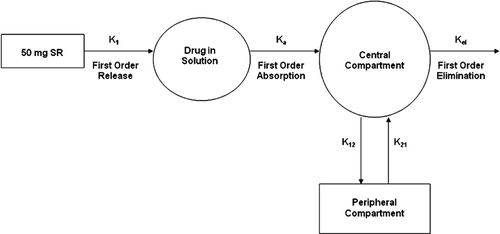 Figure 2.  Schematic of the 2-compartment PK modeling for melperone based on first order kinetics of drug release from SR beads into the environment of use, systemic absorption of the released drug, and distribution and elimination of the absorbed drug.