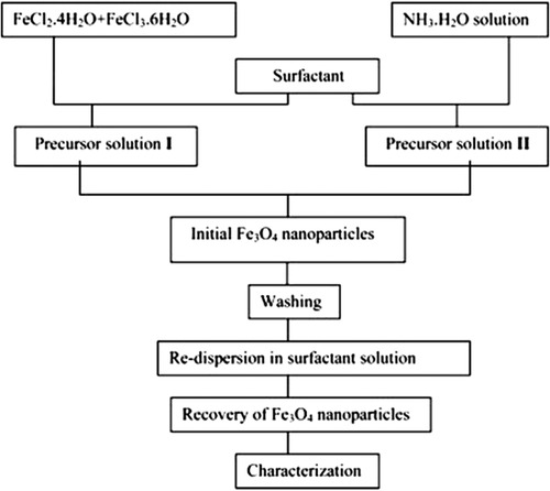Figure 2: Procedure for the preparation of Fe3O4 nanoparticles (CitationSun et al. 2007).