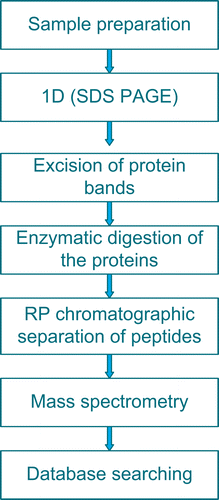 Figure 1.  The workflow of a typical proteomic experiment as performed in this study.