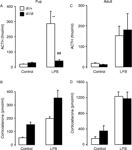 Figure 2.  Serum hormone concentrations in 10-day-old and adult Brattleboro rats 2 h after ip LPS (100 μg/ml/kg) or vehicle (control) injection. In di/+ rats, the LPS injection significantly increased ACTH (A,C) and corticosterone (B, D) concentrations at both ages. The vasopressin deficiency prevented the ACTH increase (A) and induced greater overall corticosterone concentrations (B) in pups, but had no effect on the responses to LPS in adults. Data are expressed as mean ± SEM. Statistical analysis was done by three-way ANOVA (age, genotype, stress). n = 6–15 rats per group. **p < 0.01 vs. control; ##p < 0.01 vs. di/+.