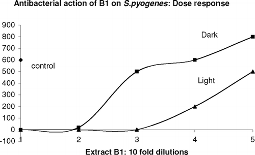 Figure 1 Dose-response curve for S. pyogenes. incubated with extract B1. Aliquots of S. pyogenes. were treated with different 10-fold dilutions of extract B1, according to the standard protocol described in “Materials and Methods,” with or without exposure to light. The treated samples were then plated out for colony formation.