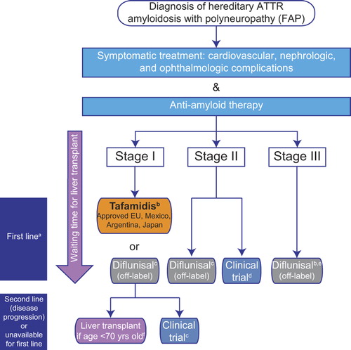 Figure 2. Current treatment pathway for patients with ATTR amyloidosis with polyneuropathy. Disease is classified in stages according to Coutinho et al. (Citation51) at initial diagnosis. a First-line anti-amyloid therapy is initiated according to stage of the disease and approval of the medicine in the country, in parallel with symptomatic treatment, to prevent disease progression and improve patient quality of life. Currently approved treatments may stabilize disease (liver transplantation (Citation53)), or slow progression of the disease (tafamidis, diflunisal (Citation52,Citation96)); treatment options are very limited for patients with stage II and III. The pathway described is followed irrespective of TTR gene mutation at stage I, and initiation of treatment for non-neurologic symptoms (renal, cardiac) may also need to be considered in affected patients. bMostly performed in patients with early-onset FAP with Val30Met mutation. Approval based on pivotal phase II/III study in patients with FAP stage I with Val30Met mutation (Citation96) and an open-label phase II study in patients with FAP stage I with non-Val30Met mutations (Citation97). cDiflunisal should be used with caution in patients with a history of gastrointestinal bleeding or ulceration, renal impairment, or heart failure. dPreliminary data from a phase II open-label extension study with patisiran, a RNAi investigational agent, demonstrate a mean 2.5-point decrease in mNIS + 7 score; this treatment has the potential to halt progression of neuropathy (Citation105). Of ongoing recruiting trials, none specify the acceptance of patients with late-stage (FAP stage > II) ATTR amyloidosis with polyneuropathy (clinicaltrials.gov, accessed on 15 May 2015). eThere are limited published data for diflunisal treatment of patients with FAP stage III (4 patients with PND stage IV received diflunisal in the Diflunisal Trial (Citation52)). fLiver transplant is proposed according to eligible criteria (health status, no evolutive cancer, compliance in the anti-rejection treatment). Best outcome recorded for early-onset (≤ 50 years of age) Val30Met patients. ATTR = transthyretin amyloidosis; FAP = familial amyloidosis with polyneuropathy; PND = polyneuropathy disability; TTR = transthyretin.