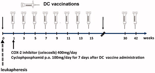 Figure 1. A scheme for DC-based immunotherapy.