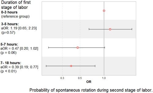 Figure 2. Probability of spontaneous rotation at full dilation, depending on the duration of the first stage of labor.