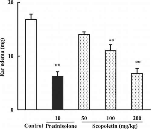 Figure 2.  Effects of scopoletin and prednisolone on croton oil-induced mouse ear edema. Values were means ± SEM of 8 mice. Statistically significant difference with respect to control was expressed as **P < 0.01.