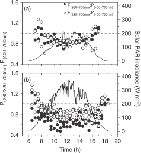 Fig. 3. Diurnal photosynthetic O2 evolution under PAR+UVR (280–700nm) and PAR+UV-A (320–700nm) as compared with PAR (400–700nm) in relation to mean solar irradiance (PAR), on cloudy (A) and sunny days (B).