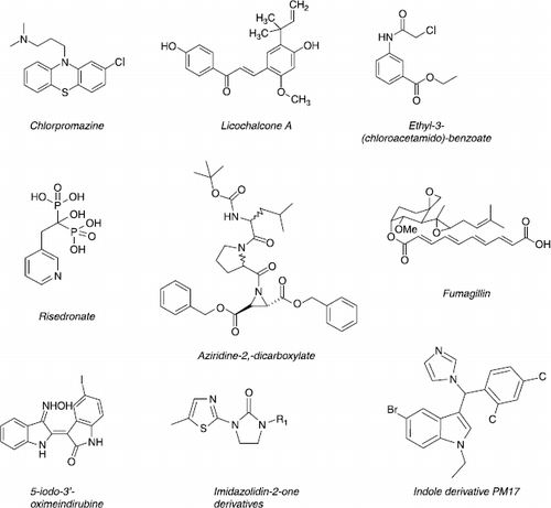 Figure 5 Chemical structures of new lead compounds.