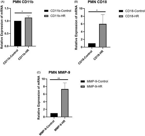 Figure 5. Levels of the CD-11b, CD-18, and MMP-9 mRNAs in PMNs. (A) Real-time PCR analysis of levels of the CD-11b mRNA in PMNs. (B) Levels of the CD-18 mRNA in PMNs. (C) Levels of the MMP-9 mRNA in PMNs. All experiments were repeated three times, and the mean values are presented and compared (*p < .05 and **p < .01).