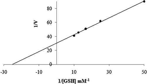 Figure 8.  Lineweaver-Burk graph in 5 different GSH concentrations and in constant CDNB concentration.