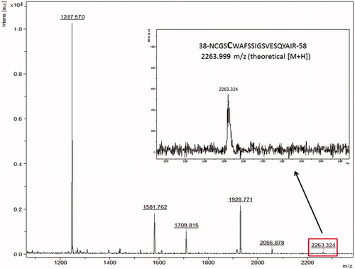 Figure 3. Peptide mass fingerprint of falcipain-2 with a coverage of 73%. Inset: peak m/z 2263.324 corresponds to the peptide-containing the catalytic Cys42. The spectrum represents a sum of 4000 lasers shots subtracted from the baseline.