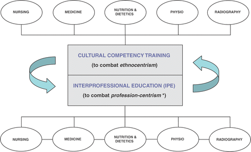 Figure 1. Undergraduate CC training delivered through an interdisciplinary approach to jointly foster both CC and interprofessional CC* *Pecukonis et al. (Citation2008).