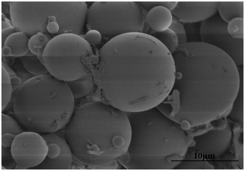 Figure 2. Scanning electron micrograph of etoposide-loaded PLGA microspheres.