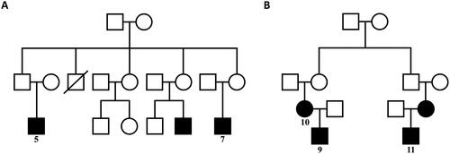 Figure 1. Patient pedigree diagram: The black squares and circles with corresponding numbers represent 5 patients of LPG (Case 5,7,9,10,11) who had clear family histories diagnosed in our hospital. Two patients from Yinchuan (Case 9,10) were mother and son. One patient from Xinjiang (Case 11), whose mother was also an LPG patient, and the patient from Yinchuan (Case 10) were cousins. Two patients (Case 5 and 7) from Cangzhou were cousins. The two black squares without numbers represent patients of LPG diagnosed in other hospitals. The square with oblique line represents a person who has passed away.