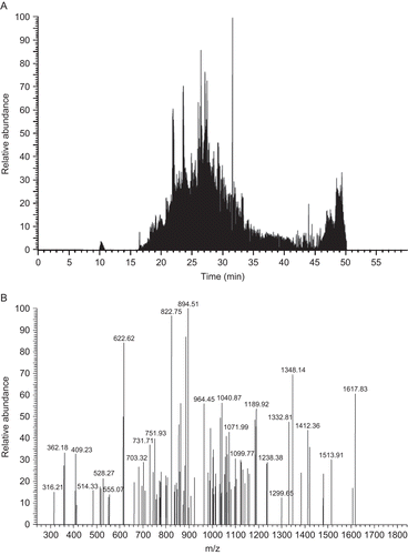 Figure 2.  (A) Total ion chromatogram of nano-LC/MS/MS analysis of tryptic peptides obtained from a fraction of DON-treated cell line extract. (B) Tandem mass spectra of the peak at the retention time 26.04 min.